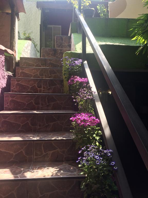 Mi Aldea Holistica Hotel Ciudad de México Exterior foto