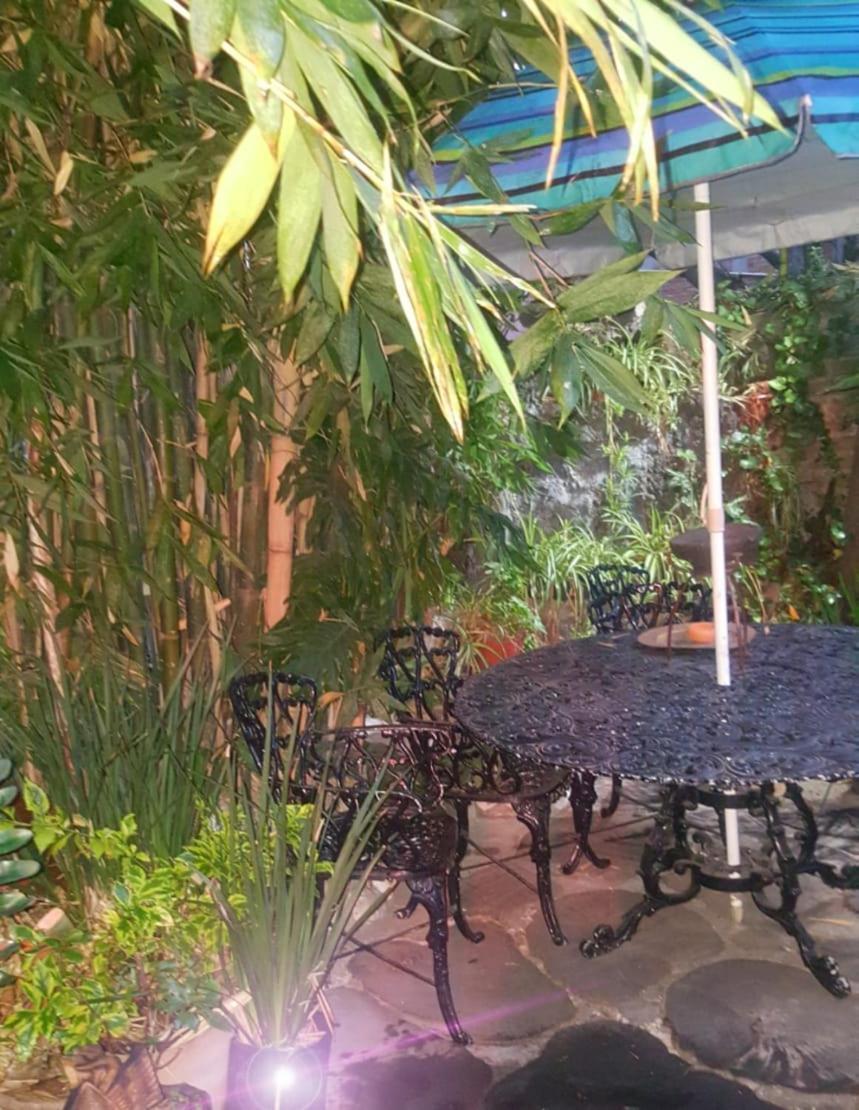 Mi Aldea Holistica Hotel Ciudad de México Exterior foto