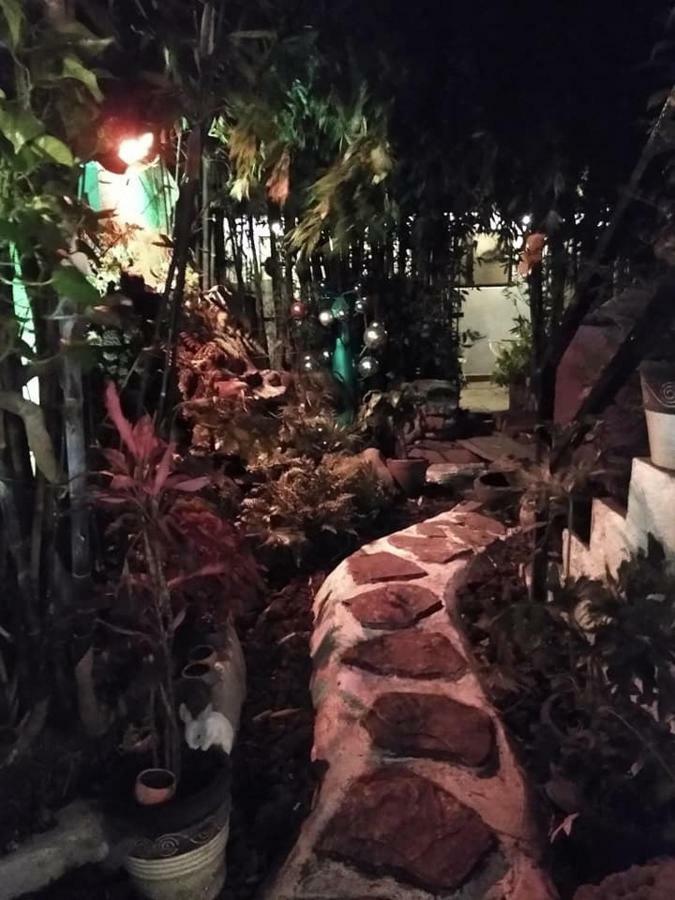 Mi Aldea Holistica Hotel Ciudad de México Exterior foto